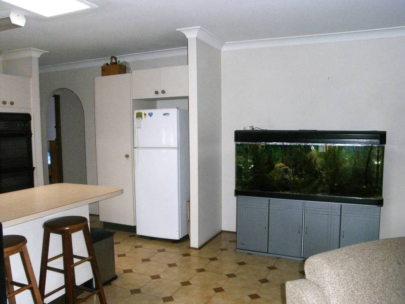 59 Darri Road, Wyongah NSW 2259