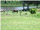 Jilliby NSW 2259