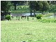 Jilliby NSW 2259