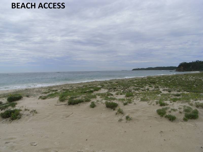 69 Budgewoi Road, Budgewoi NSW 2262