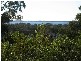 Gorokan NSW 2263