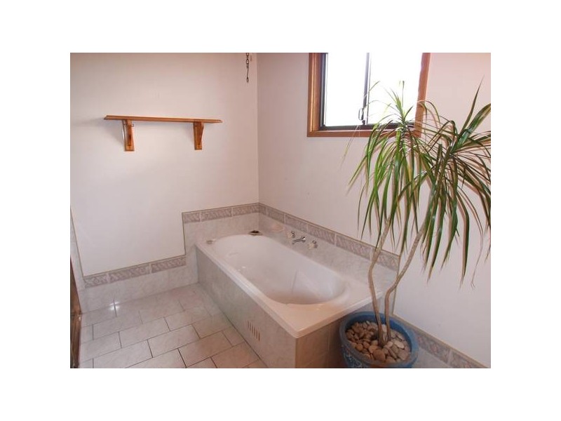 Buff Point NSW 2262