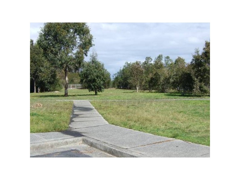 Buff Point NSW 2262