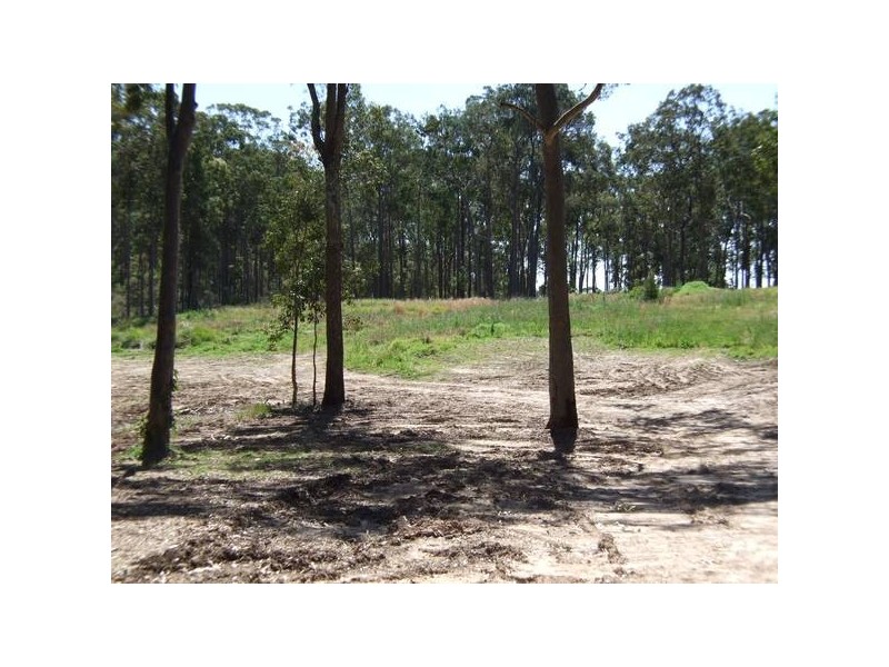 Wadalba NSW 2259