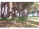 3 Costa Avenue, San Remo NSW 2262
