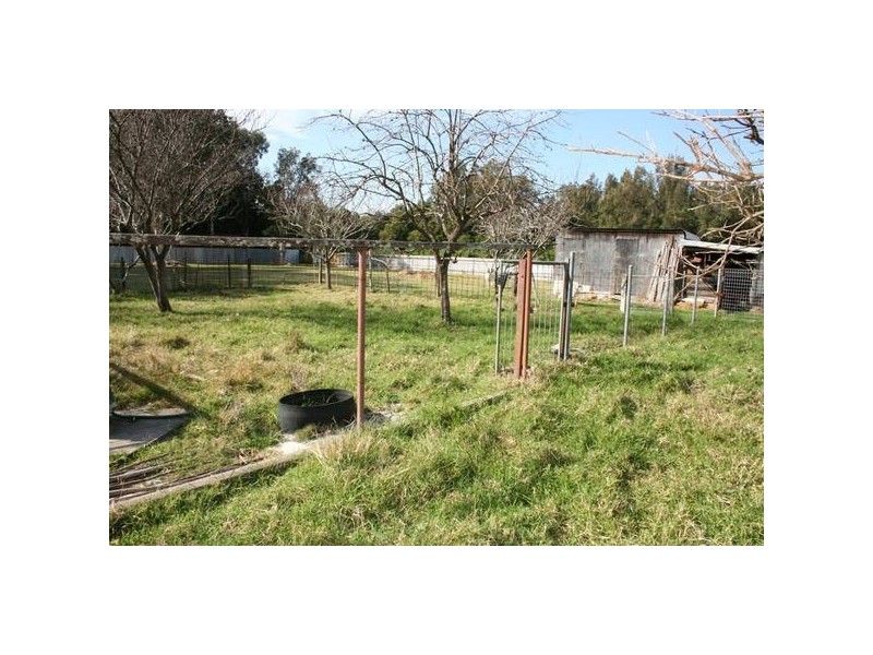 2 Wolseley Avenue, Tacoma NSW 2259