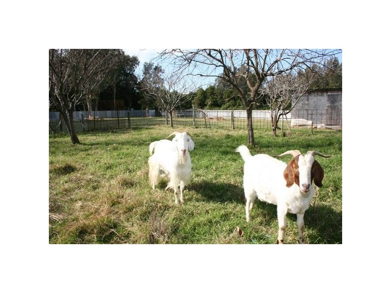 2 Wolseley Avenue, Tacoma NSW 2259