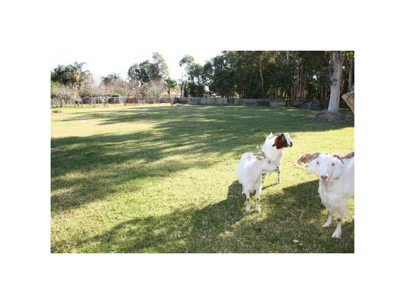 2 Wolseley Avenue, Tacoma NSW 2259