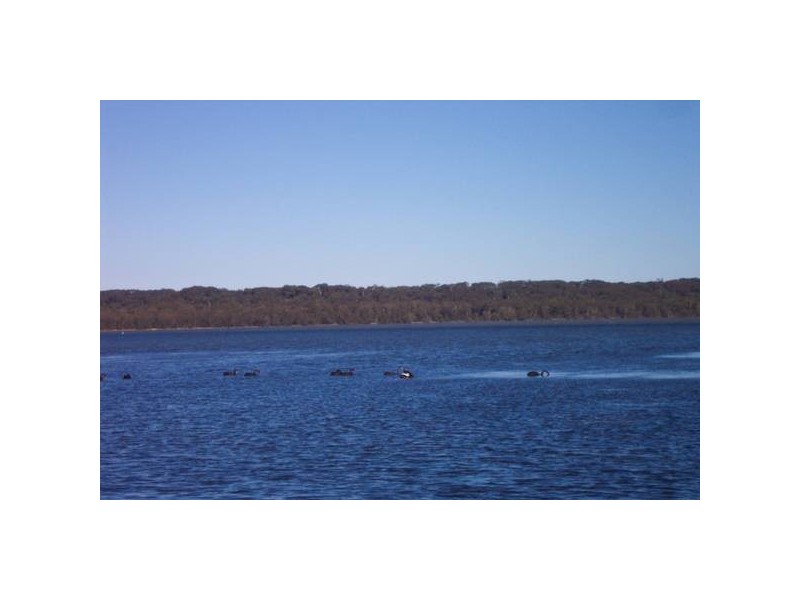 19 Tamar Street, Toukley NSW 2263