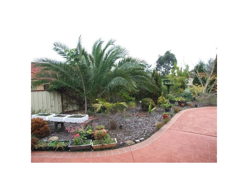 Hamlyn Terrace NSW 2259