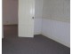 81 North Scottsdale Road, Scottsdale TAS 7260