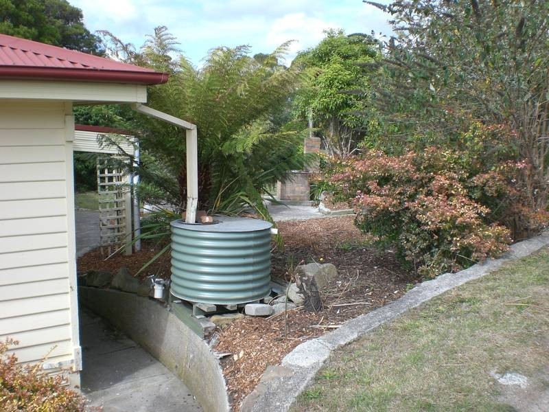 17 Main Street, Bridport TAS 7262