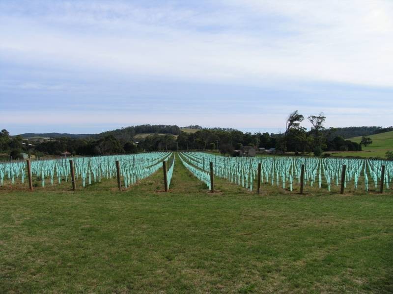 1079 Pipers Brook Road, Pipers Brook TAS 7254