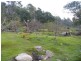 Lower Cascade Road, Derby TAS 7264