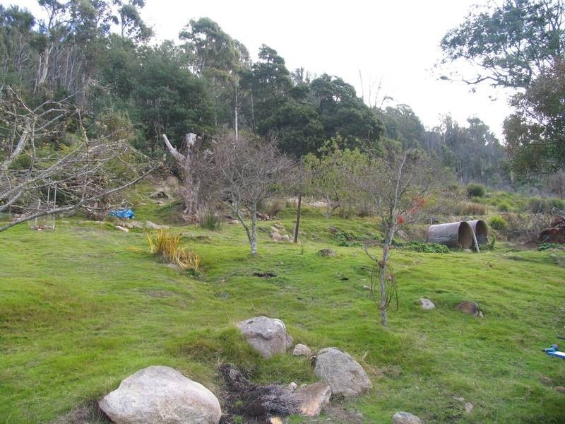 Lower Cascade Road, Derby TAS 7264
