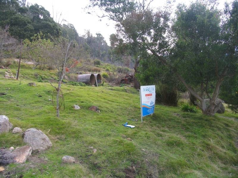Lower Cascade Road, Derby TAS 7264