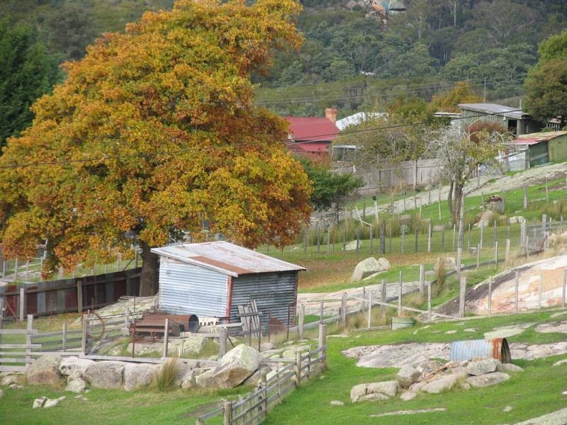 Frederick Street, Derby TAS 7264