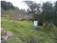 Frederick Street, Derby TAS 7264
