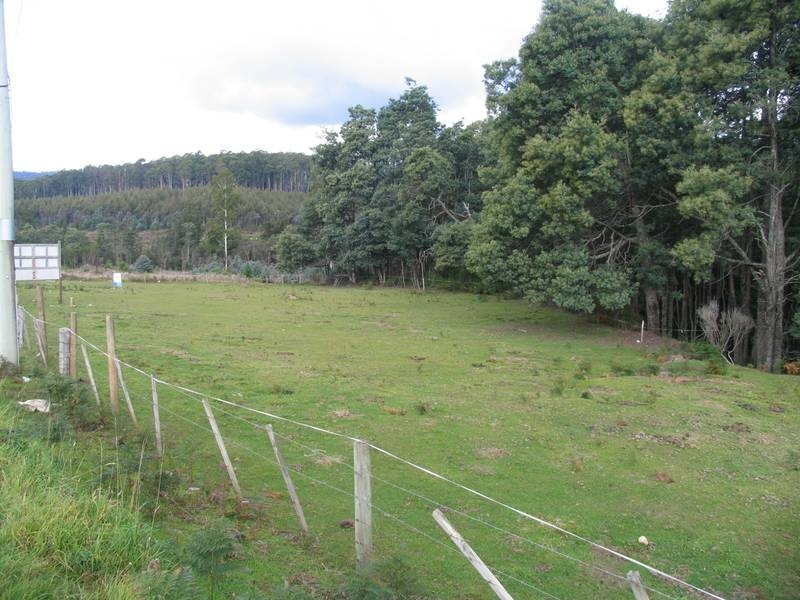 56 Scott Street, Branxholm TAS 7261