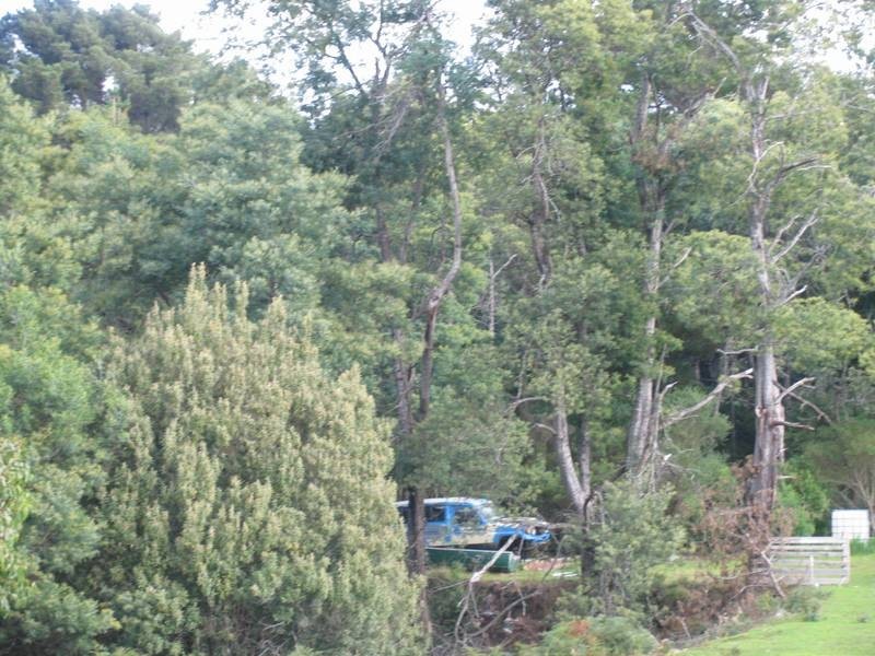 56 Scott Street, Branxholm TAS 7261