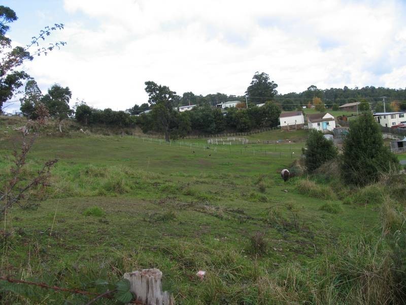 2 Pearce Street, Branxholm TAS 7261