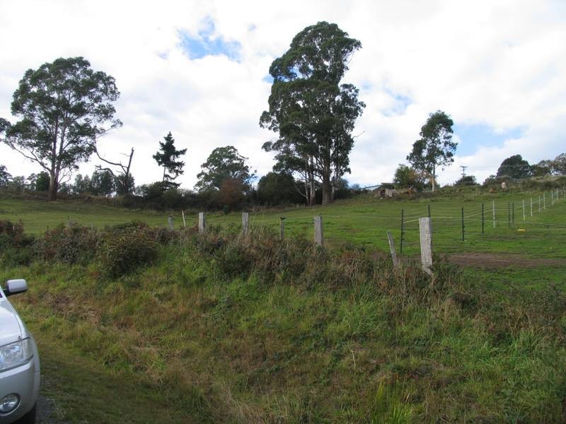 2 Pearce Street, Branxholm TAS 7261