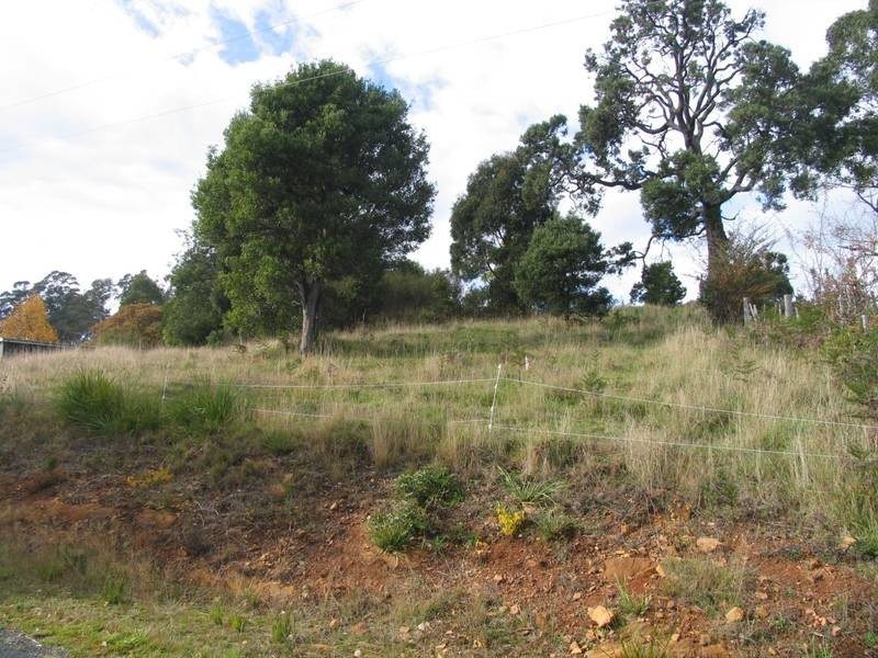 4 Pearce Street, Branxholm TAS 7261