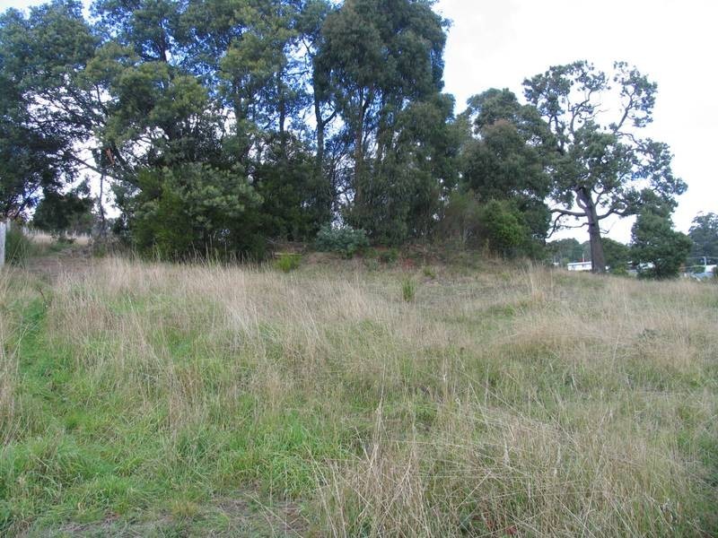 4 Pearce Street, Branxholm TAS 7261