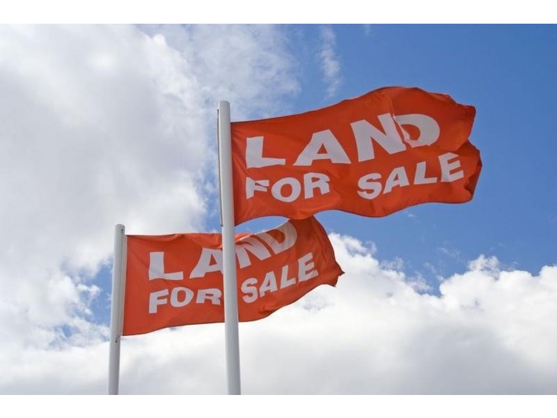 4 Pearce Street, Branxholm TAS 7261