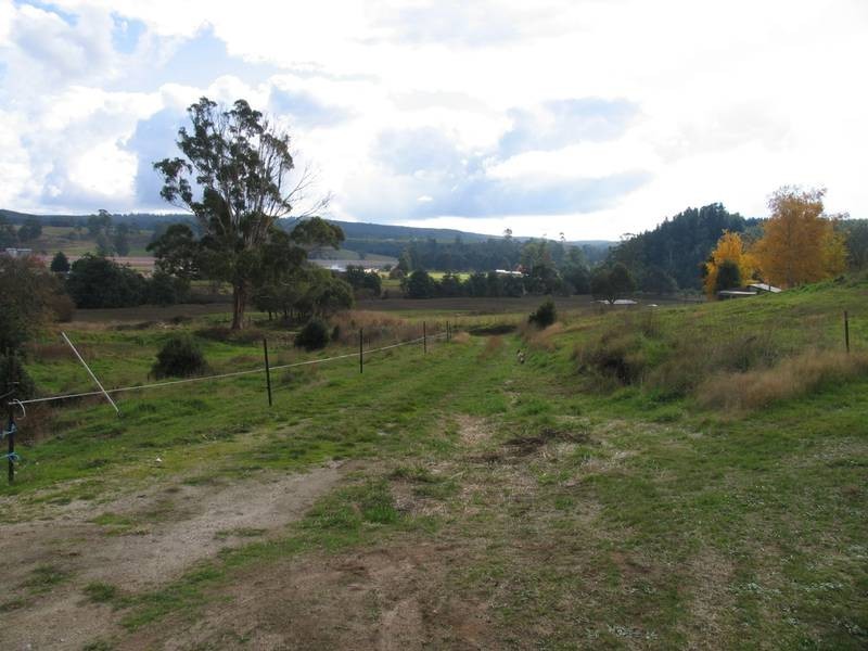 17 Pearce Street, Branxholm TAS 7261