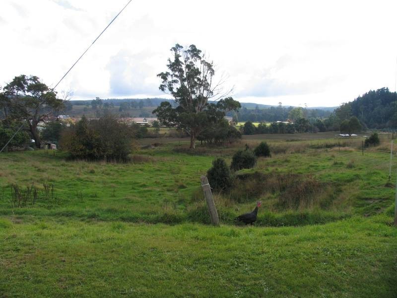 17 Pearce Street, Branxholm TAS 7261