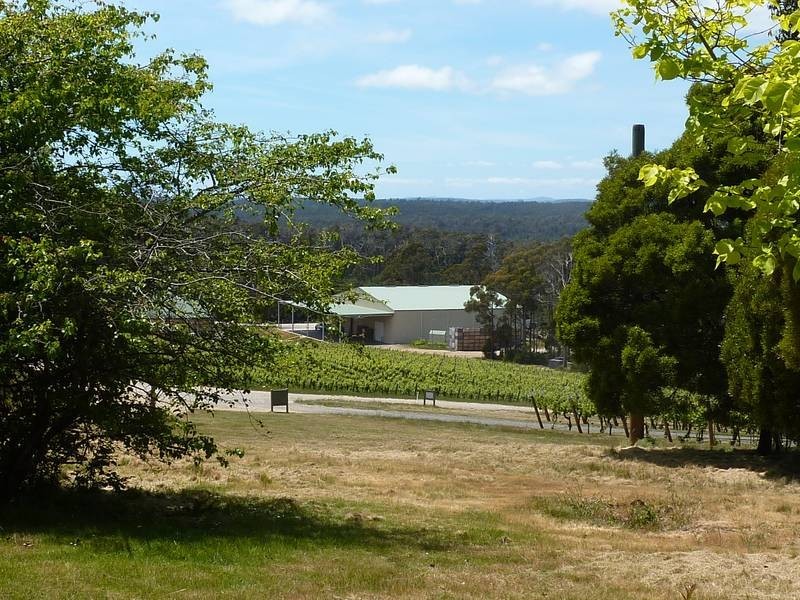1216 Pipers Brook Road, Pipers Brook TAS 7254
