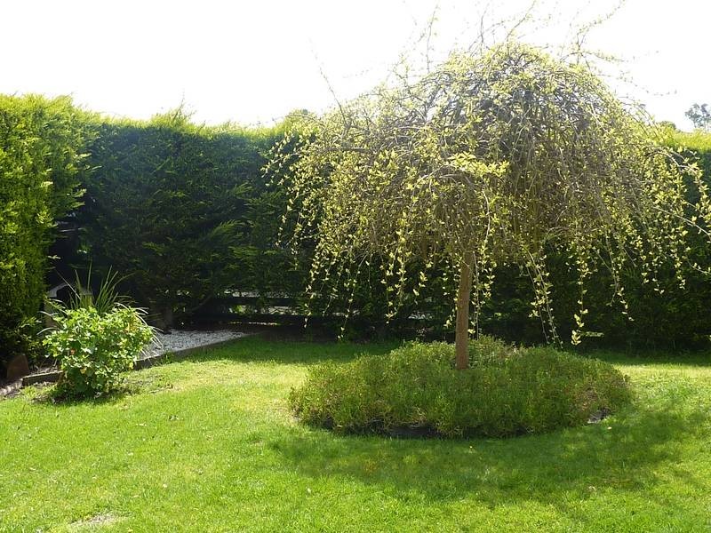 115 Main Street, Bridport TAS 7262