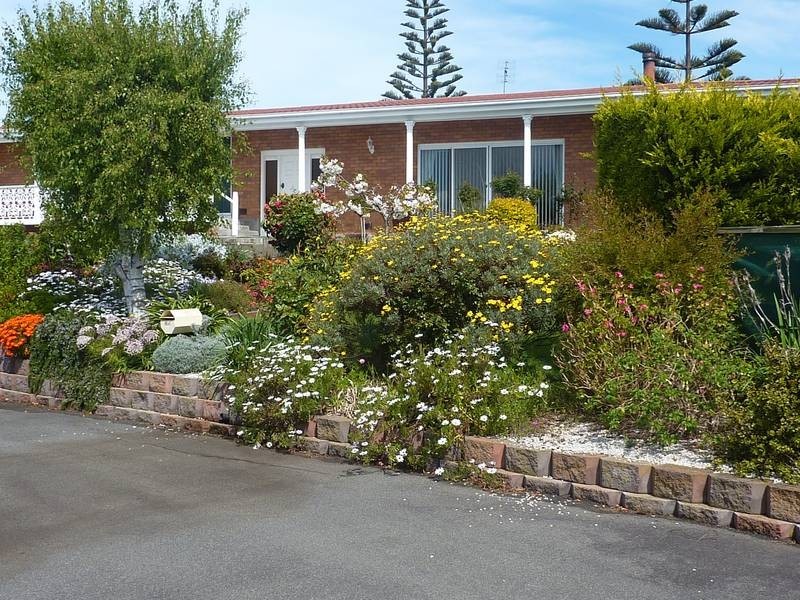 115 Main Street, Bridport TAS 7262