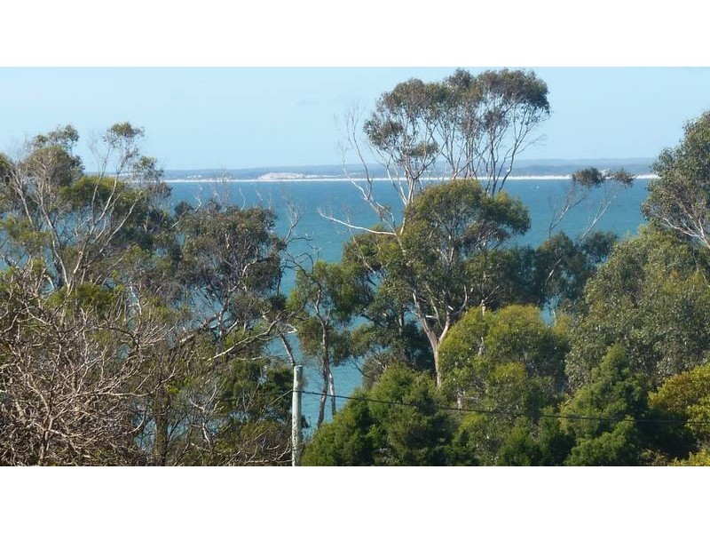 8 Westwood Street, Bridport TAS 7262