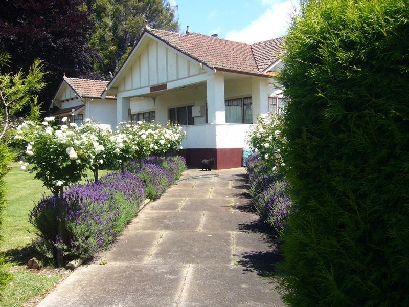 56 KING STREET, Scottsdale TAS 7260