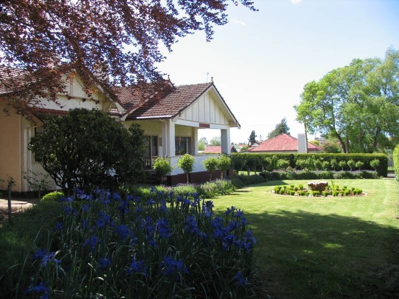 56 KING STREET, Scottsdale TAS 7260