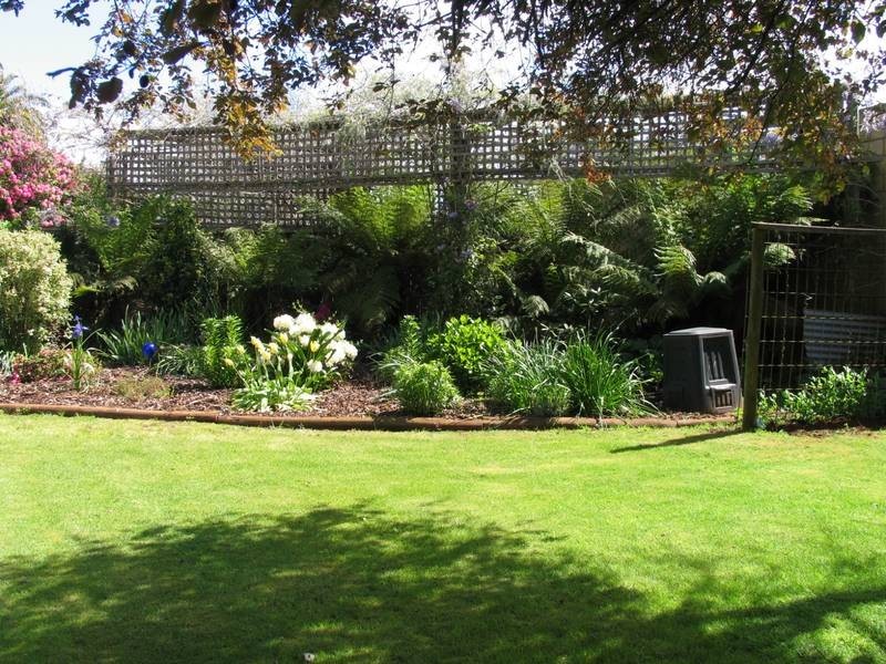 56 KING STREET, Scottsdale TAS 7260