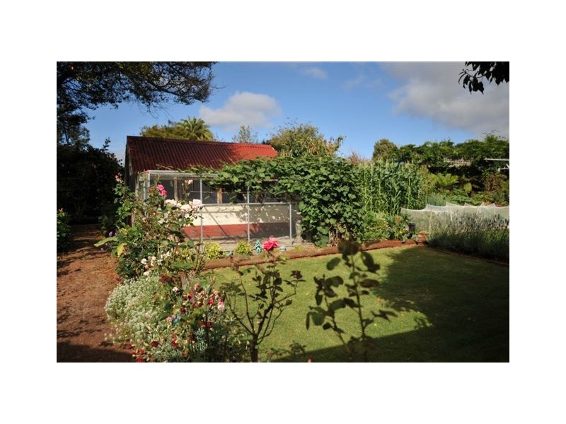 56 KING STREET, Scottsdale TAS 7260