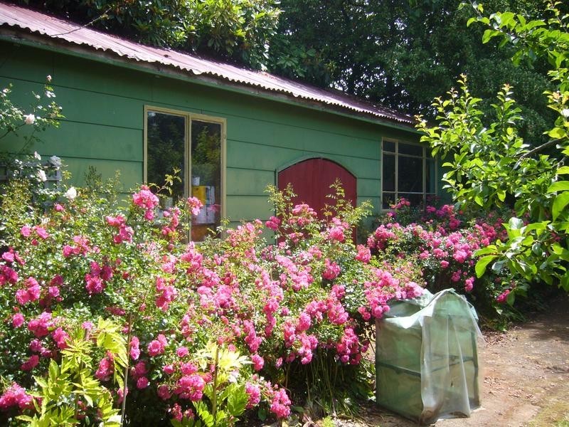 56 KING STREET, Scottsdale TAS 7260