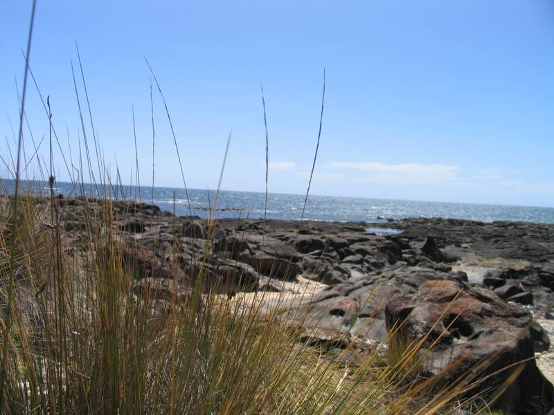 26 Bush Haven Drive, Lulworth TAS 7252