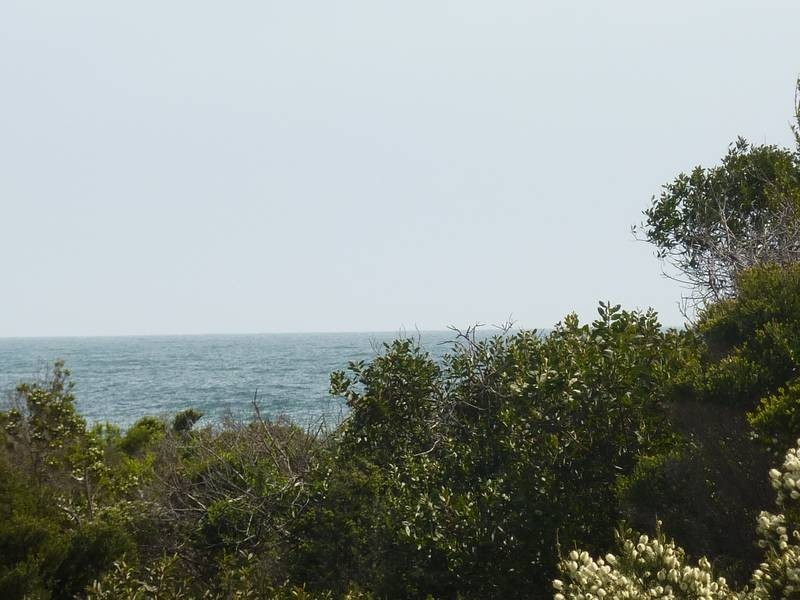 26 Bush Haven Drive, Lulworth TAS 7252