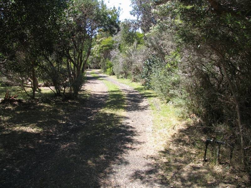 26 Bush Haven Drive, Lulworth TAS 7252