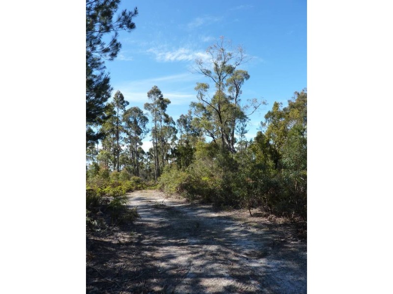 . Shanty Road, Scottsdale TAS 7260