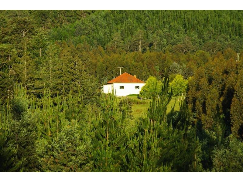 10 Base Road, Forester TAS 7260