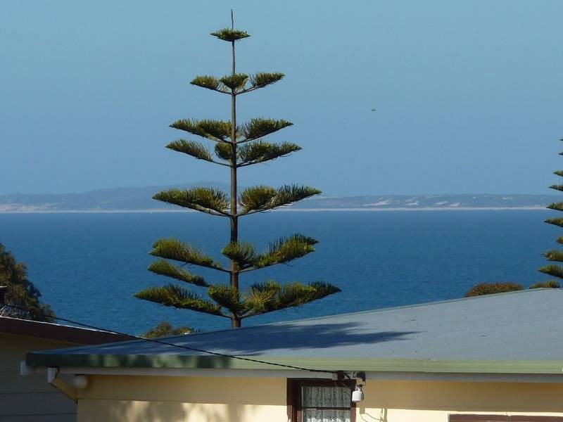 2 Thomas Street, Bridport TAS 7262