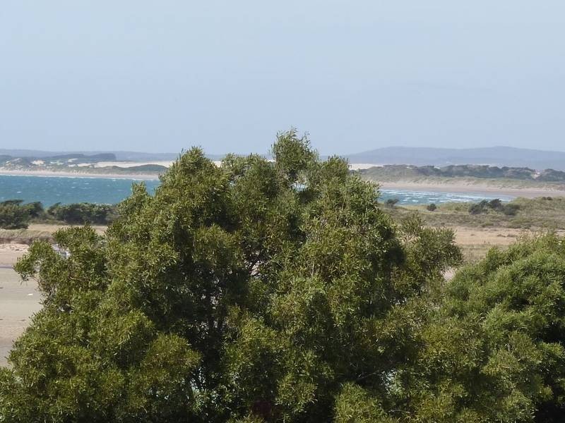 11 Therese Street, Bridport TAS 7262