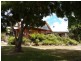 45 Henry Street, Bridport TAS 7262