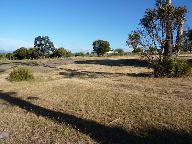 45 Henry Street, Bridport TAS 7262