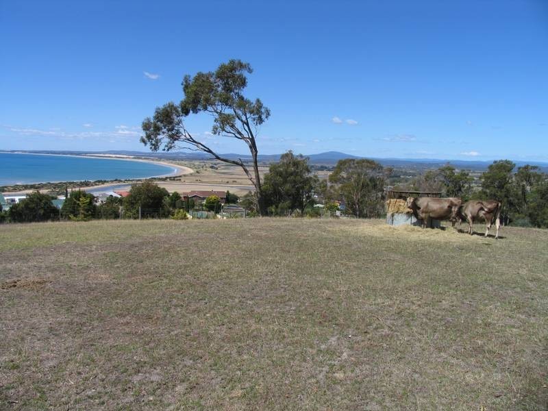 39 Frances Street, Bridport TAS 7262